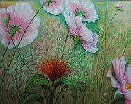 Cosmos 2