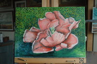Tulipe du parc de Monet