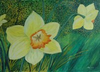 Narcisse du jardin