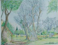 Parc Renoir