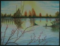 Le teich